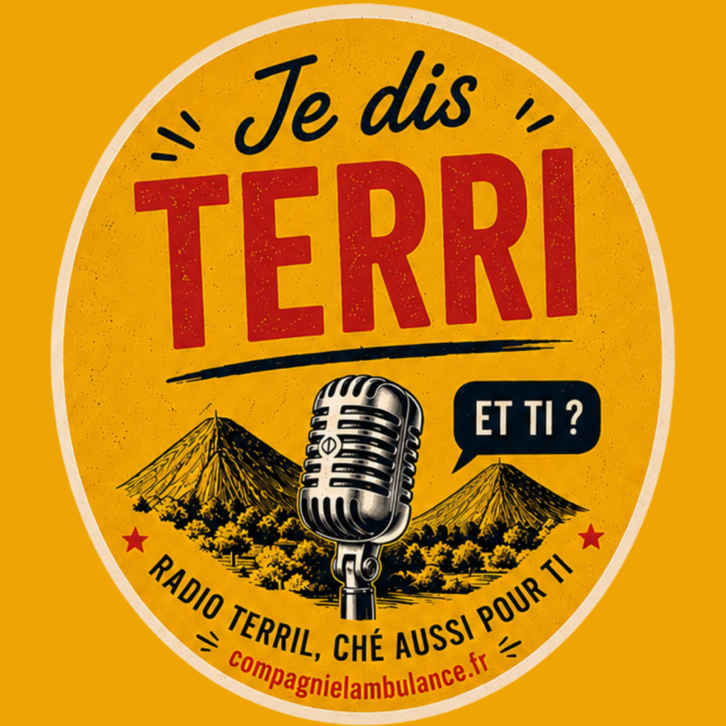 je dis terri sticker